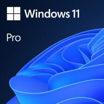 Microsoft Windows 11 Pro PL DVD BOX