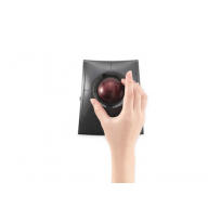 Mysz bezprzewodowa HP USB Fingerprint Mouse