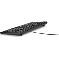 Klawiatura HP 100