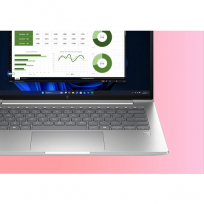 Laptop HP EliteBook 6 G1a 14 WUXGA Ryzen 7 250 16GB 512GB Radeon Pike Silver 3Y