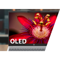 Laptop HP OmniBook 5 AI 16 2K OLED BV LBL Ultra 7-255U 16GB LPDDR5-7467 512GB Intel Arc 1080p 59Wh Win11 Glacial Silver 2Y